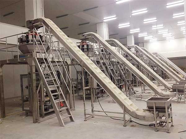 智能化全自動速凍食品午夜精品福利视频提升企業生產效率